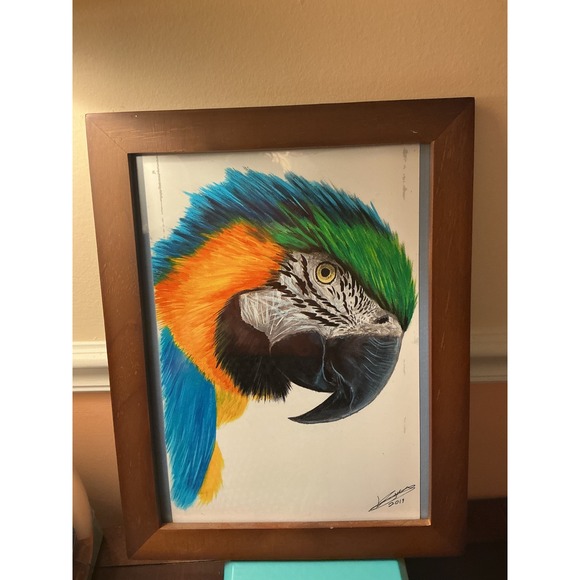 Other - Signed 2019 Macaw Parrot Portrait Art on Kodak Film Framed 10x13 Tropical Bird